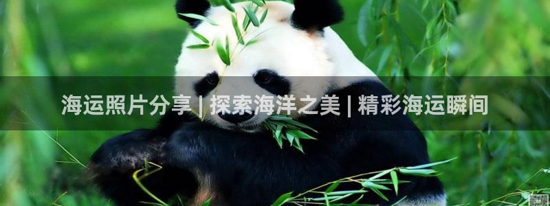 公海赌赌船