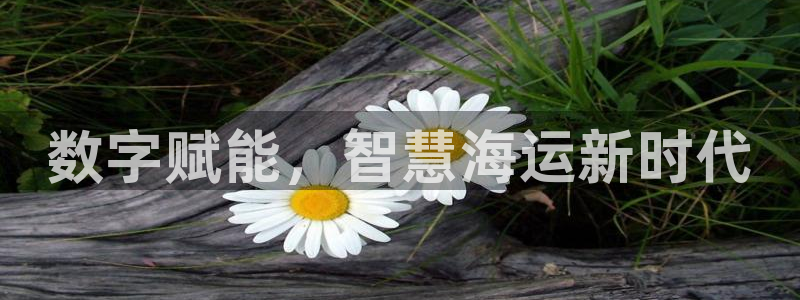 公海赌钱公安会抓吗