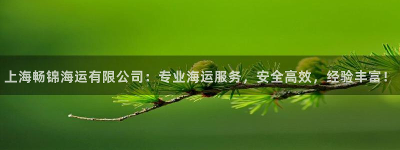 欢迎您来到公海