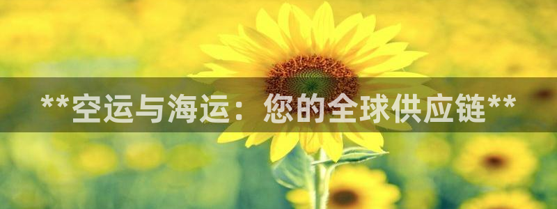 欢迎来到海牛星简谱