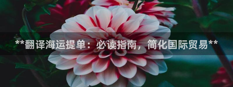 公海赌船贴吧