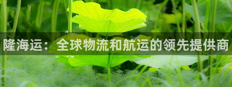 欢迎来到公海555000