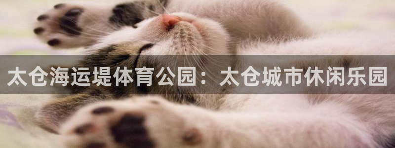 公海赌船吧