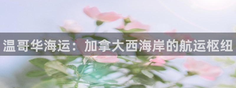 欢迎来到公海