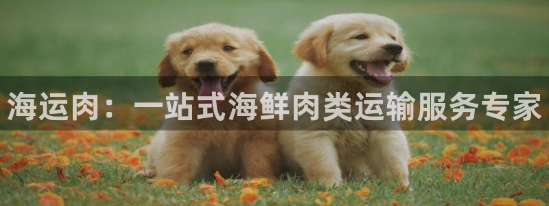 欢迎登船