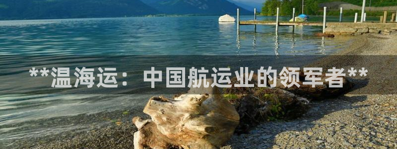 公海赌博为什么没人管