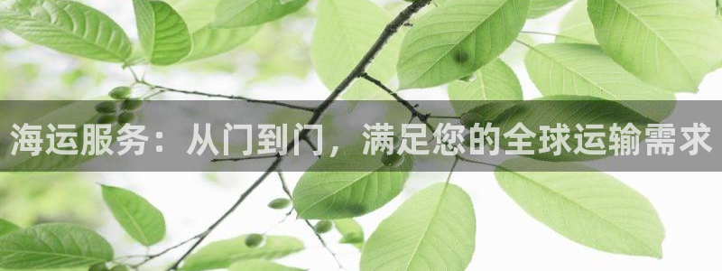 欢迎您来到公海客服