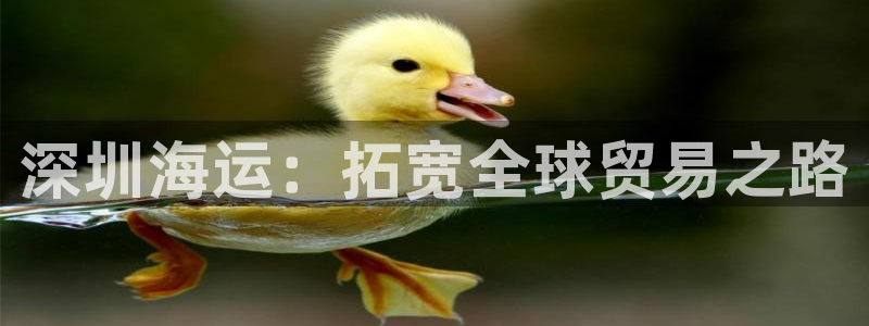 公海赌赌船官网710登录