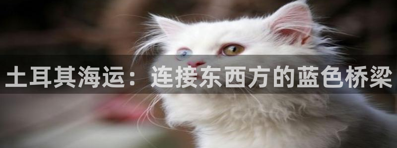 欢迎来到大海