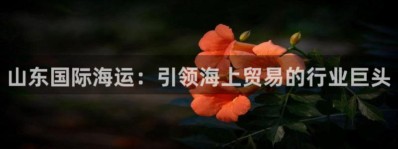 公海船赌网站是多少