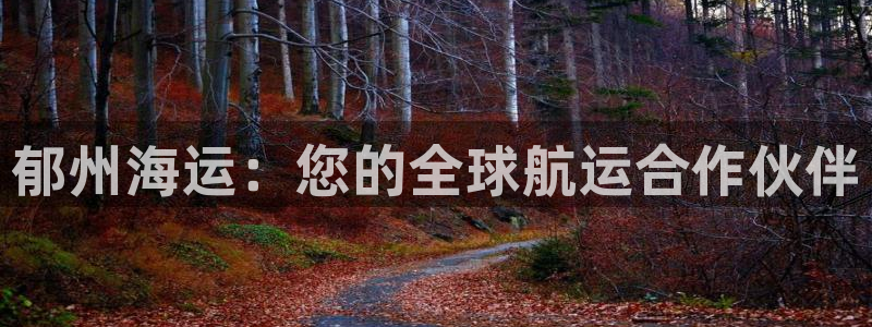 公海赌赌船贵宾会员检测路线