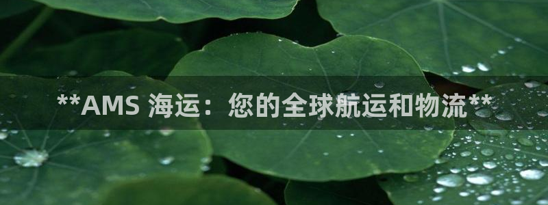 公海赌钱公安会抓吗