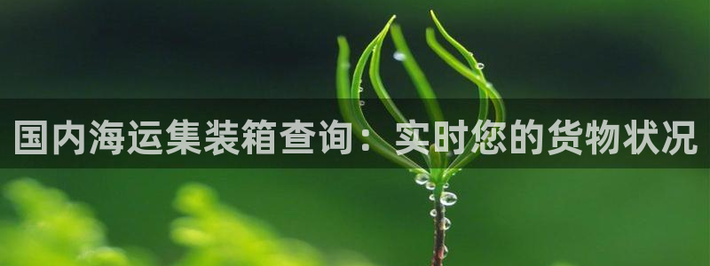公海赌赌船官网